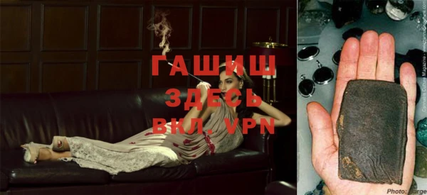 МДПВ Ельня