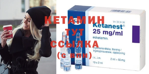 индика Елизово