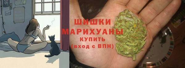 индика Елизово