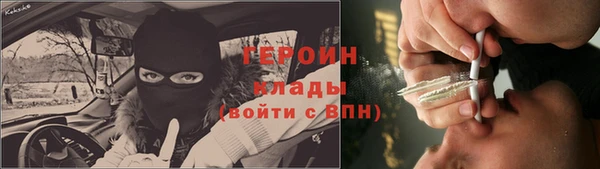 индика Елизово