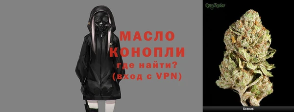 индика Елизово
