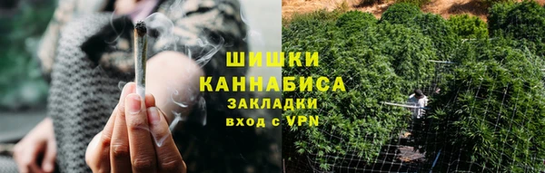 твердый Дмитровск