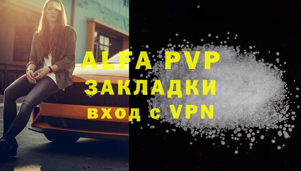 МДПВ Ельня
