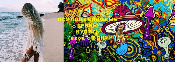 Альфа ПВП Дмитров