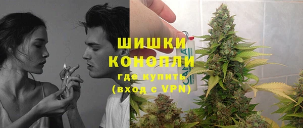 индика Елизово