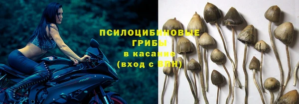 экстази Гусь-Хрустальный