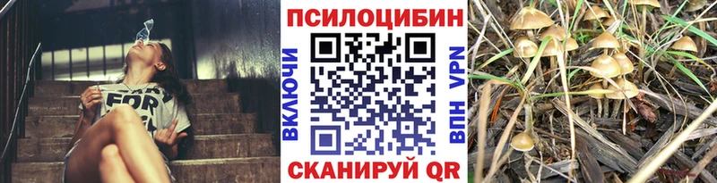 Псилоцибиновые грибы Magic Shrooms хочу Кириши