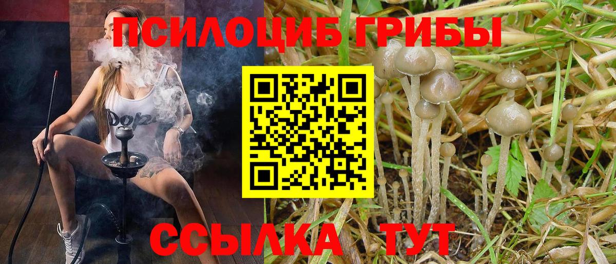 Псилоцибиновые грибы Psilocybine cubensis  Вход с VPN  Кириши 